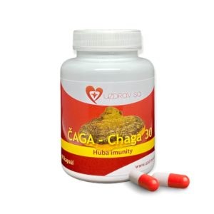 Chaga - Čaga sibírska <br>(30% polysacharid)